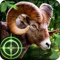 Дикий охотник - Wild Hunter 3D