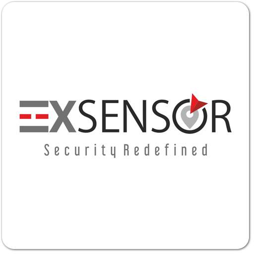 Exsensor