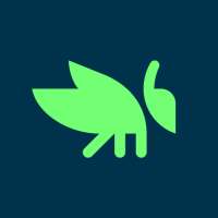 Grasshopper: Learn to Code on 9Apps