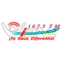 Viene Fm. Net