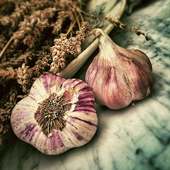 Garlic For Health on 9Apps