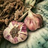 Garlic For Health