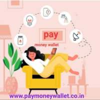 Pay Money Wallet- UPI add money  Best Recharge