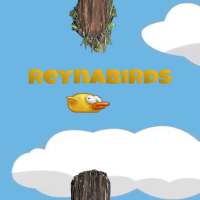 ReynaBirds – Bird Adventure Game