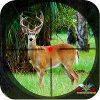 Safari Deer Hunting: Gun Games on 9Apps
