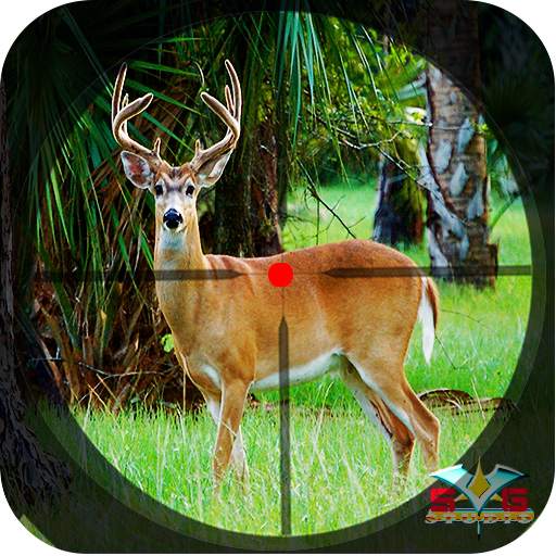 Safari Deer Hunting Africa: Best Hunting Game 2021