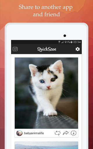 QuickSave for Instagram screenshot 11