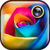 Color Photo Editor