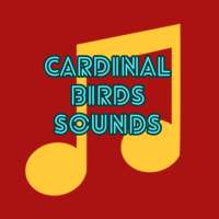 💖 Cardinal Birds  Ringtones