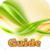 Guide for Temple Run Brave