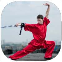 Shaolin Kung Fu Training Guide