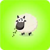 sheep Mady on 9Apps