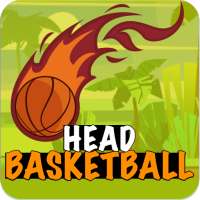 Head Basketball 2