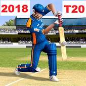 Top Cricket Games 2018 T20 3D