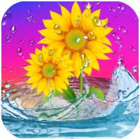 Sunflowers Live Wallpaper on 9Apps