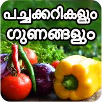 All Vegetables Names And Its Benefits In Malayalam