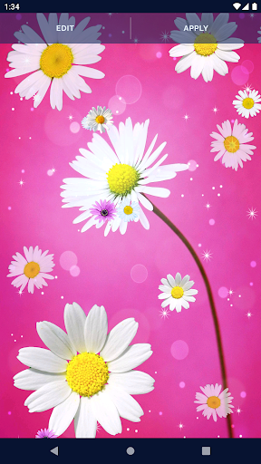 3D Daisy Spring Live Wallpaper screenshot 4
