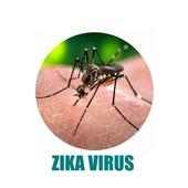 Zika Virus - News on 9Apps