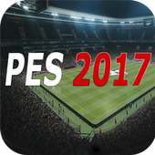 Guide PES PRO 17