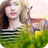 Deer Photo Frame on 9Apps