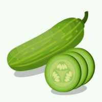 Health Benefits of Cucumber on 9Apps