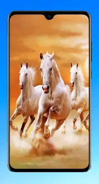Horse Wallpaper 4K APK Download 2023 - Free - 9Apps