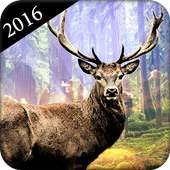 Deer Hunter : Deer Hunting