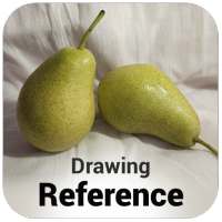 ArtHub: Drawing Reference Image, Drawing/Painting