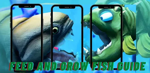 App Walkthrough feed and grow fish Android app 2021 