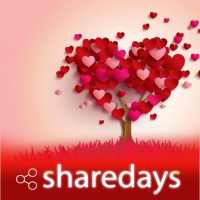ShareDays - Hindi Status, Quotes & Shayari