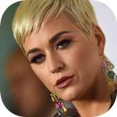 News Katy Perry Music Offline