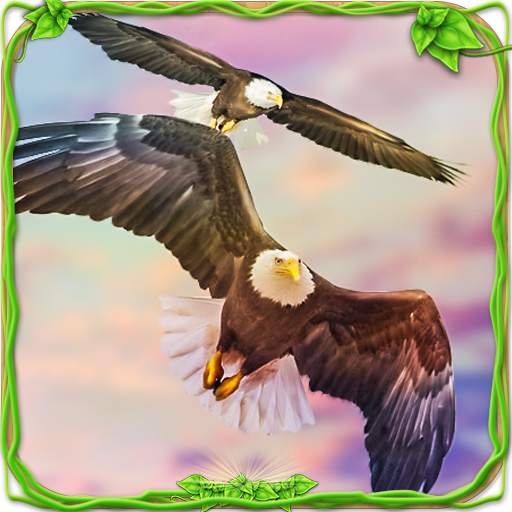 Eagle Racing Simulator: Animal Race Game