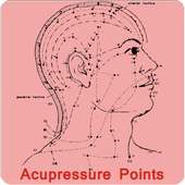 Acupressure Point