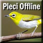 Kicau Pleci Offline Mp3 Lengkap