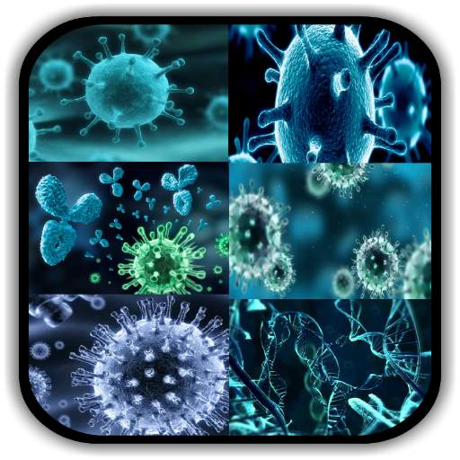 Virology - Principles & Applications of Virology