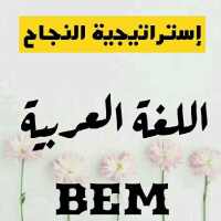 إستراتيجية النجاح في اللغة العربية BEM 2019 on 9Apps