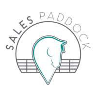 Sales Paddock