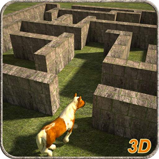 Pony Horse Maze Run Simulator