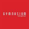 Gymnasium Fitness