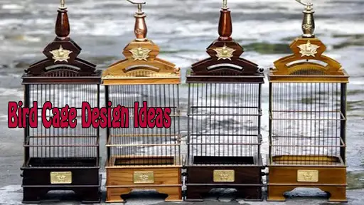 bird cage design ideas