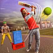 Street Cricket Match