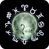 Swan Horoscope Theme on 9Apps