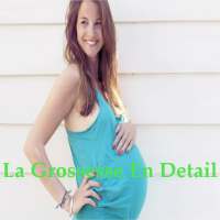 La Grossesse En Detail on 9Apps