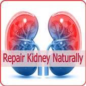 Repair Kidney Naturally 2019 on 9Apps