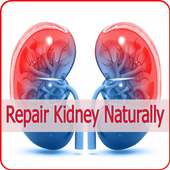 Repair Kidney Naturally 2019