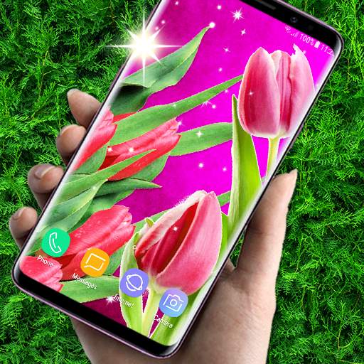 Tulips Live Wallpaper 🌷 Spring Wallpapers