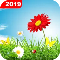 Téléchargement de l'application Green Grass Live Wallpaper HD 2023 -  Gratuit - 9Apps