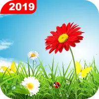 Téléchargement de l'application Green Grass Live Wallpaper HD 2023 - Gratuit - 9Apps Téléchargement de l'application Green Grass Live Wallpaper HD 2023 - Gratuit - 9Apps