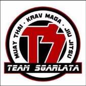 Team Sgarlata Martial Arts on 9Apps