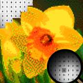 Narcissus Flowers Color By Number-Pixel Art 2020